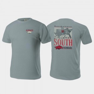 Gray Comfort Colors Arkansas T-Shirt For Men's Pride of the South
