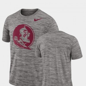 2018 Player Travel Legend Men Charcoal FSU Seminoles T-Shirt Performance Nike