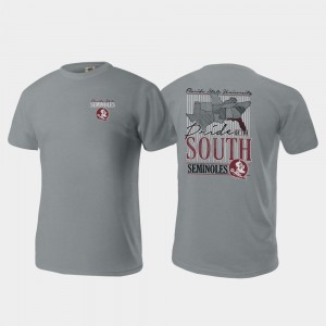 Comfort Colors Florida State Seminoles T-Shirt Mens Gray Pride of the South