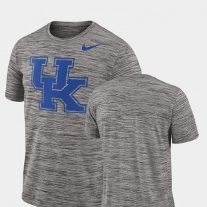 Charcoal Performance Nike For Men's 2018 Player Travel Legend Kentucky T-Shirt