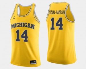 Rico Ozuna-Harrison University of Michigan Jersey College Basketball Maize Jordan Brand Men's #14