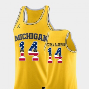 Yellow Rico Ozuna-Harrison Wolverines Jersey For Men #14 College Basketball Jordan Brand USA Flag
