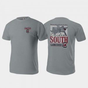 Gray Comfort Colors Pride of the South For Men South Carolina T-Shirt