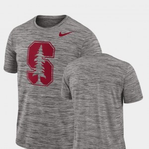 Performance Nike Stanford T-Shirt Charcoal 2018 Player Travel Legend Men