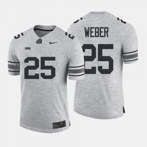 Mike Weber Ohio State Jersey Men Gridiron Gray Limited Gray #25